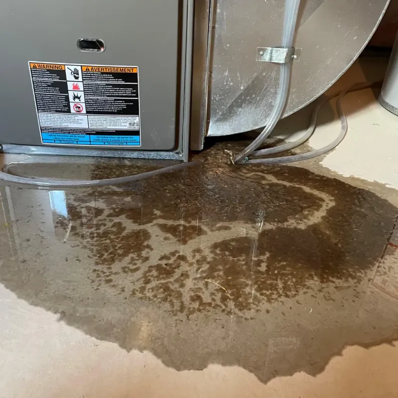 Appliance Leak Cleanup in South Padre Island, TX