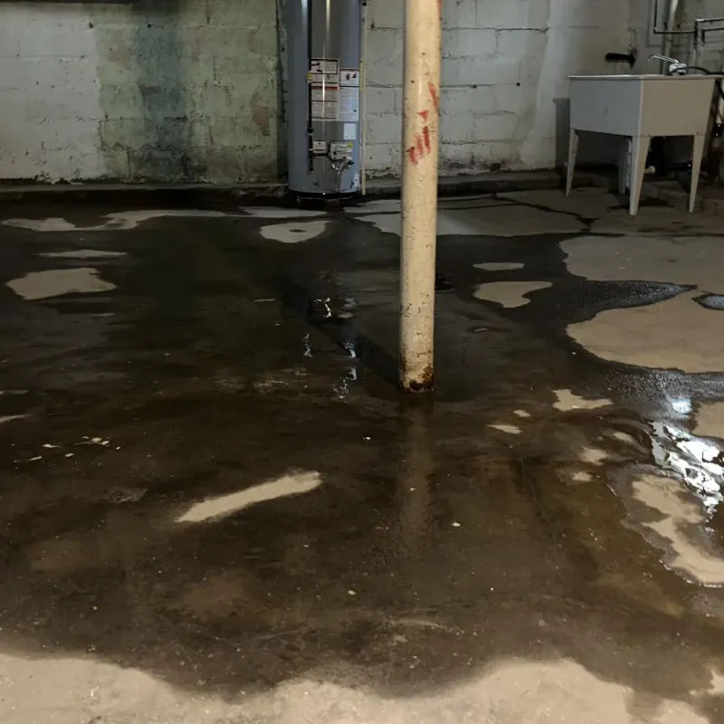 Emergency Water Extraction And Removal in South Padre Island, TX